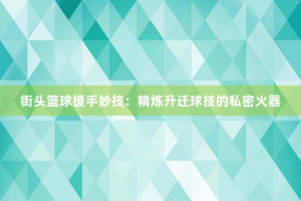 街头篮球援手妙技：精炼升迁球技的私密火器